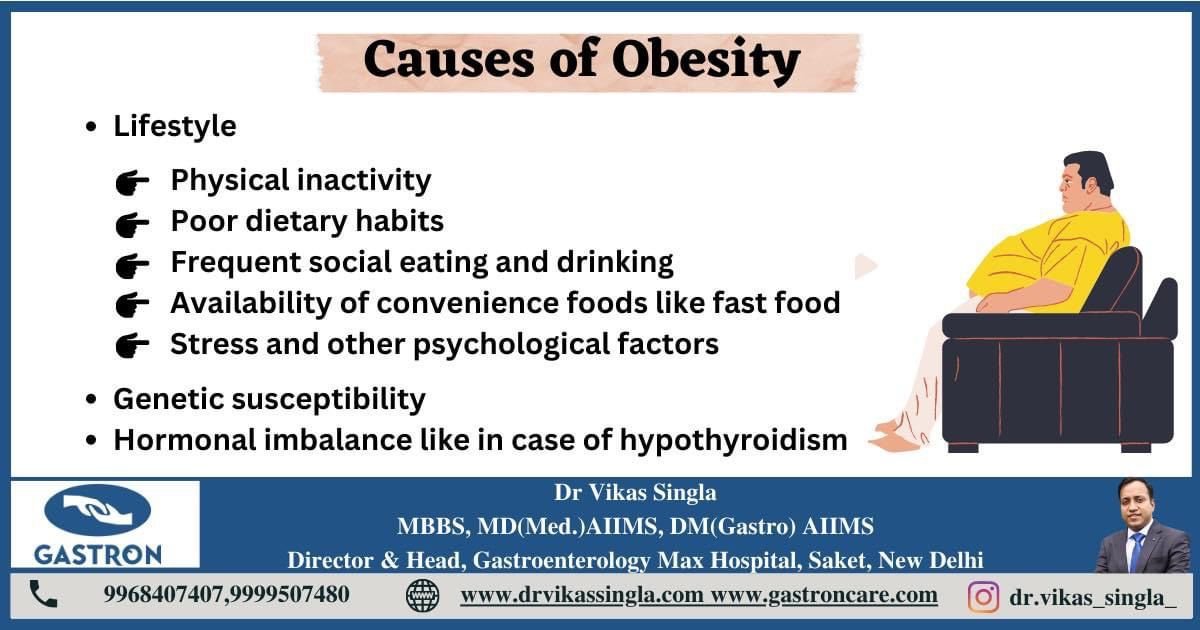 Causes of Obesity