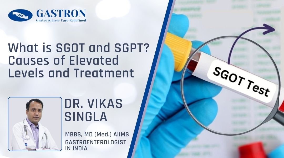 What is SGOT and SGPT Causes of Elevated Levels and Treatment